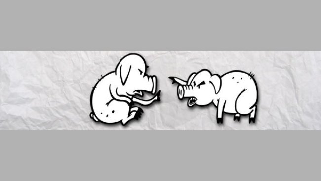 piglets fighting