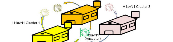Betriebsbezogene genetische und antigenische Heterogenität