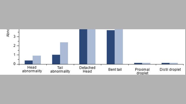 Auswirkung der PCV2-Impfung bei PCV2-positiven Ebern auf die Spermienmorphologie