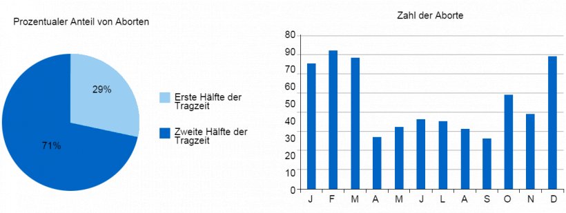 Das Kreisdiagramm stellt den prozentualen Anteil von Aborten im ersten bzw. zweiten Abschnitt der Tragzeit dar. Das Balkendiagramm zeigt die Saisonabhängigkeit von Aborten.