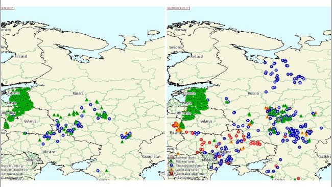 ASP-Ausbrüche in Russland und der Ukraine in den Jahren 2015 und 2016