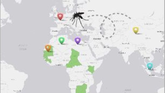Vector-borne diseases storymaps 1