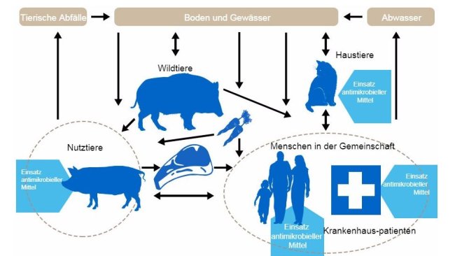 Ablaufdiagramm zu den Determinanten der Antibiotikaresistenz bei den einzelnen Reservoirs: Die Bereiche, in denen Antibiotika verabreicht werden, sind blau markiert. http://www.effort-against-amr.eu/
