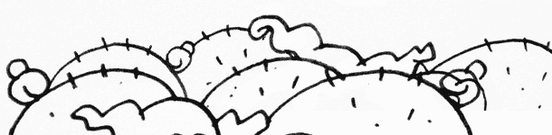 Belegdichte im Stall