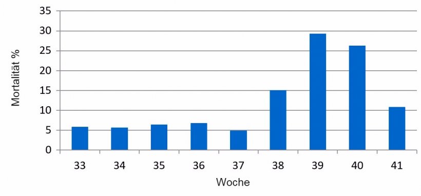 Grafik 1: Prozentualer Anteil der w&ouml;chentlichen Mortalit&auml;t der Ferkel vor dem Absetzen vor und w&auml;hrend des PED-Ausbruchs

