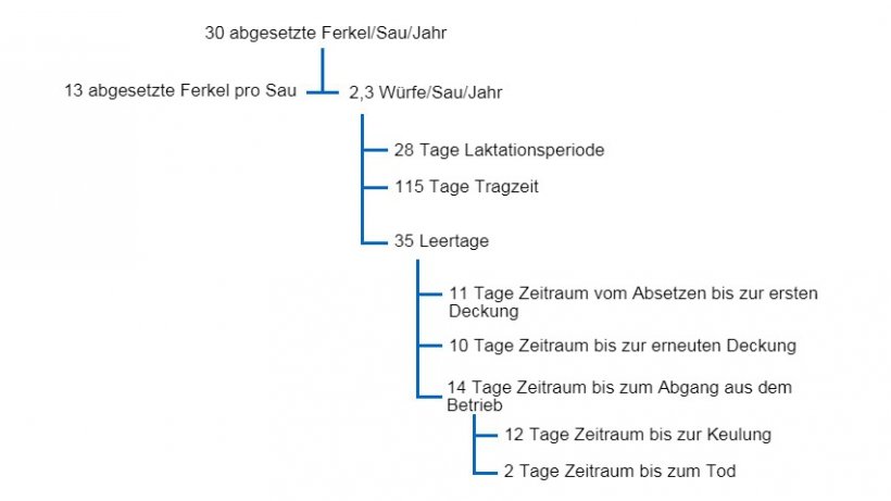 Abbildung 1: Beziehung zwischen Leertagen und anderen Leistungsfaktoren in einem Baumdiagramm zur Produktivität für 30 Schweine, die pro Sau und Jahr abgesetzt werden.
