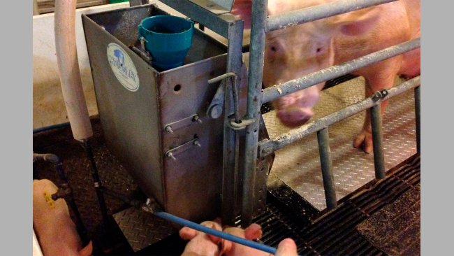 Abbildung 2: Prototyp des Purdue Kühlpaneels, das im Abferkelstall getestet wird.