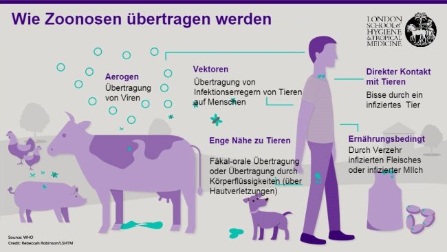 Abbildung 1. Übertragungswege von Zoonosen. Zoonosen sind Infektionskrankheiten, die vom Tier auf den Menschen, aber auch vom Menschen auf das Tier übertragen werden können. Quelle: London School of Hygiene and Tropical Medicine.