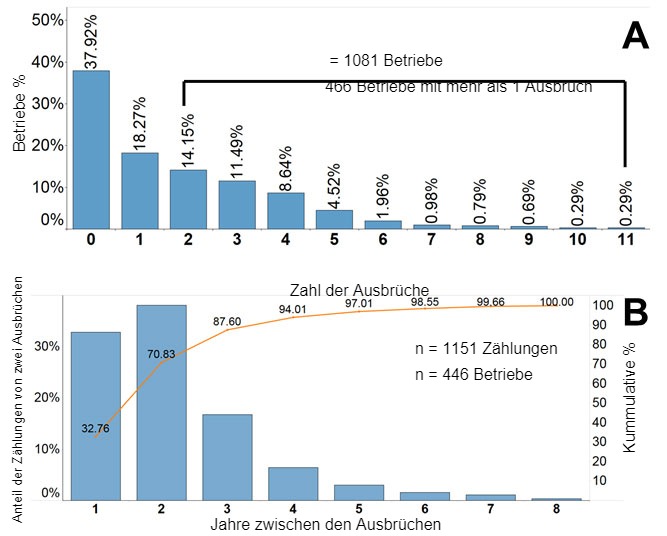 Abbildung 2: H&auml;ufigkeit von PRRS-Ausbr&uuml;chen, die in der Datenbank des Morrison Swine Health Monitoring Project (MSHMP) gemeldet wurden. A. Prozentsatz/ Anteil der Betriebe nach der Anzahl der seit 2009 gemeldeten Ausbr&uuml;che. B. Linke Achse: Prozentsatz/ Anteil der folgenden Ausbr&uuml;che, die durch die Jahre zwischen jenen Ausbr&uuml;chen in der Subpopulation von Betrieben klassifiziert werden, die mehr als einen Ausbruch meldeten. Rechte Achse: Kumulative % von zwei Ausbr&uuml;chen.
