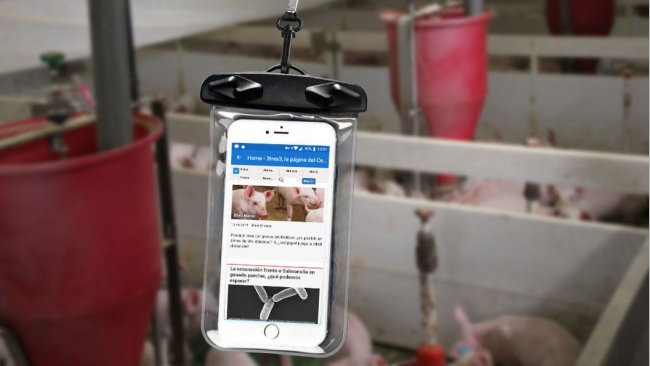 Handy in einer wasserdichten Schutzhülle