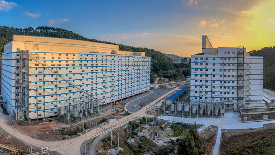 Foto 8: Verteilung des Futters vom Erdgeschoss bis in jedes Geschoss.
