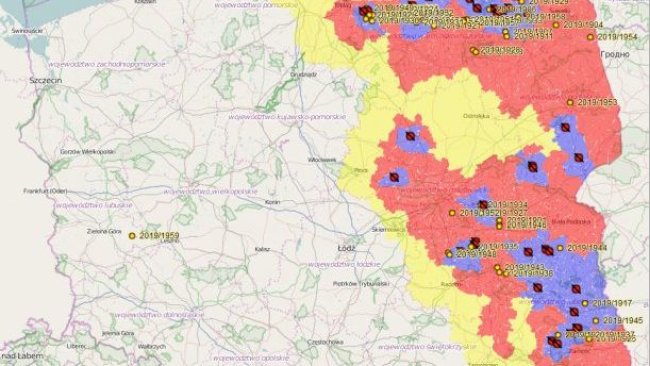 ASP-Fälle in Polen im Jahr 2019