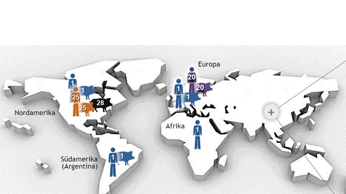 Abbildung 1: Die wichtigsten Sequenztypen (STs) von Streptococcus suis Serotyp 2, bestimmt durch Multilokus-Sequenztypisierung (MLST). ST1-Serotyp-2-St&auml;mme werden meist mit Krankheiten bei Schweinen (sofern Daten verf&uuml;gbar sind) und Menschen in Europa, Asien, Afrika und S&uuml;damerika (Argentinien) in Verbindung gebracht. ST7, eine Einzellokus-Variante von ST1, ist auf dem chinesischen Festland endemisch. Anders verh&auml;lt es sich in Nordamerika, wo nur wenige klinische ST1-F&auml;lle von Infektionen bei Schweinen und nur 1 ST1-Fall beim Menschen beschrieben wurden. Tats&auml;chlich geh&ouml;ren nordamerikanische Serotyp-2-St&auml;mme haupts&auml;chlich zu ST25 (Mensch und Schwein) und zu ST28 (nur Schweine). ST28 wird au&szlig;erdem auch mit klinischen F&auml;llen beim Schwein auf dem chinesischen Festland, in Australien, Japan und in Thailand in Verbindung gebracht. Interessanterweise sind Japan und Thailand die einzigen L&auml;nder, die auch ST28-F&auml;lle beim Menschen meldeten. Neben Nordamerika wurde auch in Australien und Thailand von ST25-F&auml;llen beim Menschen berichtet. Schlie&szlig;lich ist ST20 nur in Europa (meist in den Niederlanden) weit verbreitet. In dieser Abbildung stellen Zahlen (1, 20, 25, 28, 104) in den verschiedenen Wirten unterschiedliche STs (also ST1, ST20, ST25, ST28, ST104) dar und jeder ST-Typ wurde in einer anderen Farbe dargestellt. Modifizierte Abbildung nach: Segura M, Fittipaldi N, Calzas C, Gottschalk M. Critical Streptococcus suis virulence factors: Are they all really critical? Trends Microbiol. 2017; 25(7):585-599. doi: 10.1016/j.tim.2017.02.005, mit Abdruckgenehmigung
