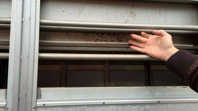 Foto 3: Seitenwände nach Reinigung und Desinfektion