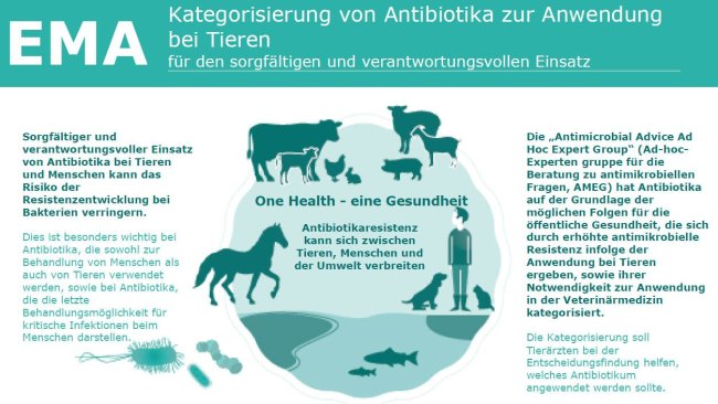 infografik