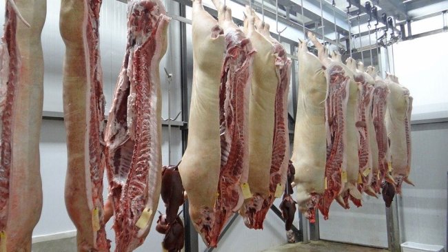 Schweinefleisch