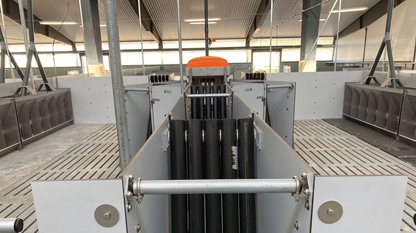Mitte: TriSortpro-Ausgangstor, rechts und links der Futterautomat DryWetFeeder. Die schwarzen Rohre verhindern, dass die Schweine in die Station zur&uuml;cklaufen.
