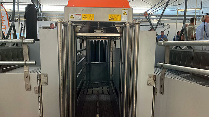 Das TriSort-Eingangstor ist in leerem Zustand ge&ouml;ffnet. Betritt ein Schwein die Waage, schlie&szlig;t sich aufgrund der Gewichtsver&auml;nderung automatisch das Tor und der drei Sekunden dauernde Wiegevorgang beginnt. Danach &ouml;ffnet sich das Ausgangstor automatisch.
