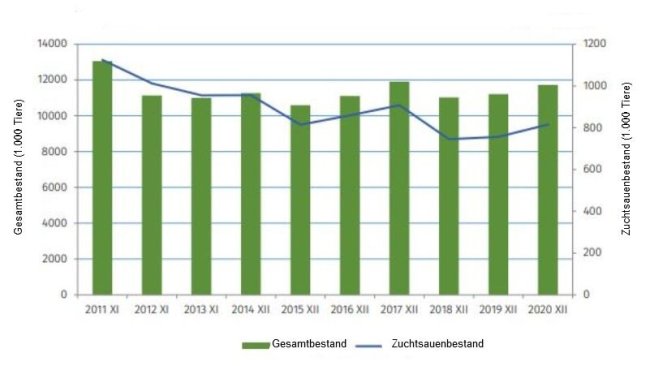 Entwicklung des polnischen Schweinebestands seit 2011. Quelle: GUS
