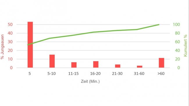 Abbildung 1: Zeit, die der Eber benötigt, um brünstige Jungsauen zu erkennen, nachdem er in die Bucht gebracht wurde. P. Englisch, 1986