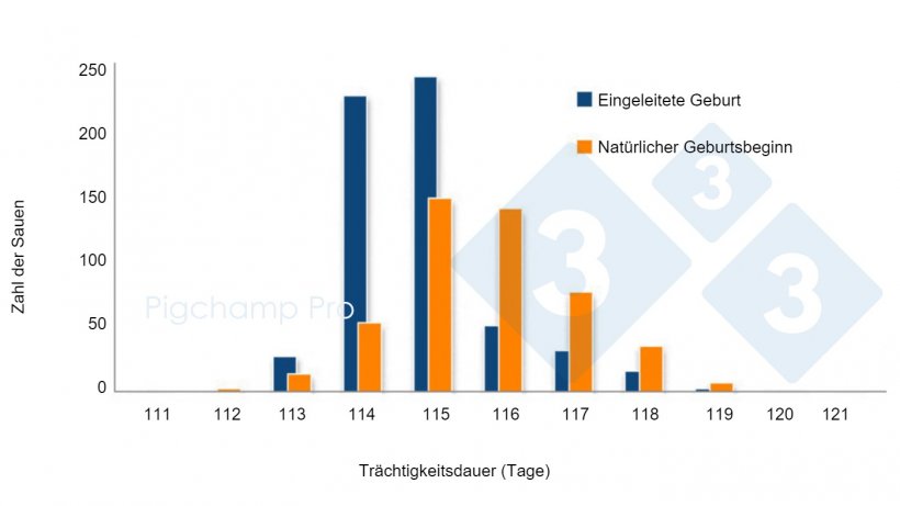 Grafik 3: Vergleich der Tr&auml;chtigkeitsdauer von Sauen, deren Geburtsvorgang nach 114 Tagen eingeleitet wurde, und von Sauen mit nat&uuml;rlichem Geburtsbeginn in einem bestimmten Betrieb (Are sows asking for the Pig334? 2/2)
