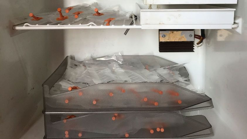 Foto 1: Platzierung der Dosen in &uuml;bereinander gestellten Ablagef&auml;chern, um eine unsachgem&auml;&szlig;e Sedimentation der Spermien zu vermeiden und eine regelm&auml;&szlig;ige Bewegung zur Homogenisierung zu erm&ouml;glichen.
