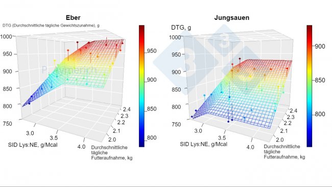 Abbildung 1: Modellierung der Auswirkungen des Lysin-Energie-Verhältnisses und des durchschnittlichen Tagesverbrauchs bei männlichen und weiblichen Tieren zwischen 70 und 105 kg LG (Aymerich et al., 2020)