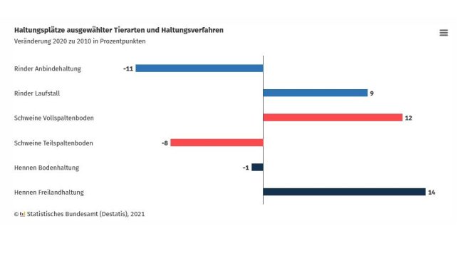 Schweine: 96 % der Haltungsplätze mit Spaltenboden
