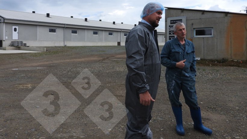 Maststall in einem Schweinebetrieb in Hennon, Bretagne, Frankreich, der zur Genossenschaft Cooperl gehört