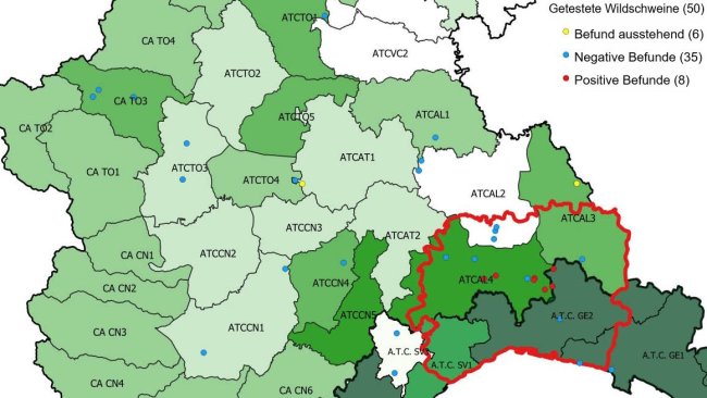 Negative und positive ASP-Befunde in den Regionen Piemont und Ligurien (Italien). Quelle: IZSPLV