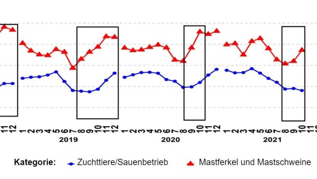 Abbildung 1: Prozentsatz der PCR-positiven PRRSV-Meldungen für die Alterskategorien Zuchttiere/Sauenbetrieb sowie Mastferkel und Mastschweine. Die schwarzen Kästchen zeigen die stärkeren und/oder früheren Ausschläge in den Daten der Mastbetriebe im Vergleich zu denen der Sauenbetriebe. Quelle: ISU-VDL: Veterinär- und Diagnoselabor der Iowa State University; UMN-VDL: Veterinär- und Diagnoselabor der University of Minnesota; SDSU-ADRDL: Forschungs- und Diagnoselabor für Tierkrankheiten der South Dakota State University; KSU-VDL: Veterinär- und Diagnoselabor der Kansas State University; OH-ADDL: Ohio Animal Disease and Diagnostic Laboratory.