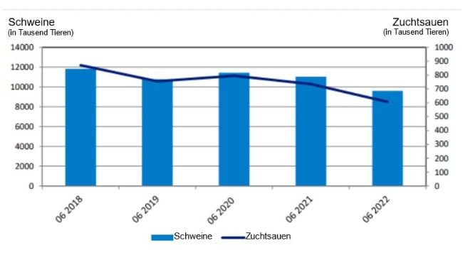 Entwicklung des polnischen Schweinebestands. Quelle: GUS