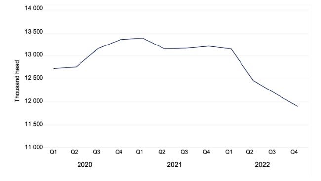 Gesamtschweinebestand in Dänemark in tausend Tieren. Daten von Danmarks Statistik