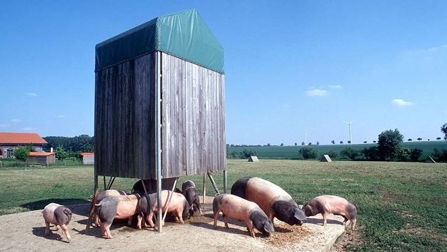 Quelle: BLE/ Thomas Stephan