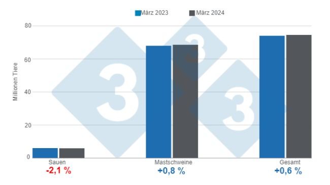 U.S.-Schweinebestände zum 1. März 2024, jährliche Veränderungen. Erstellt von 333 Lateinamerika mit Daten des USDA - NASS