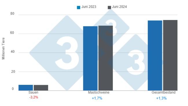 US-Schweinebestand zum 1. Juni 2024, jährliche Veränderungen. Erstellt von 333 Lateinamerika mit Daten des USDA - NASS