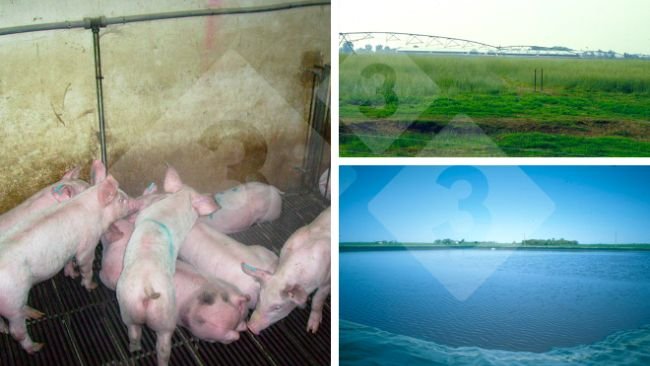 Abb. 3: Ein unsachgemäßes Tränkemanagement wirkt sich negativ auf die Betriebskosten und die Umwelt aus.