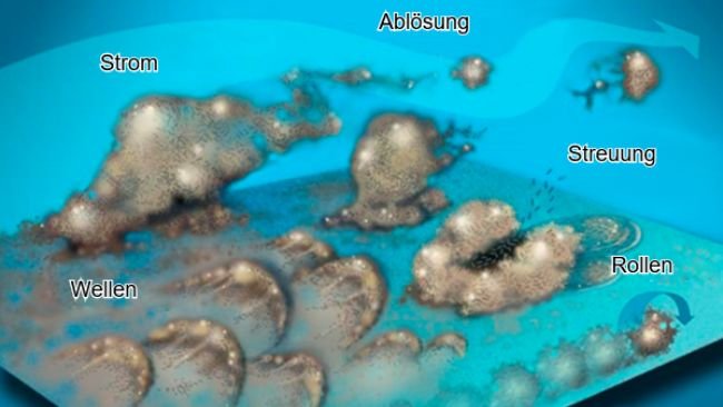 Abb. 7: Biofilmbakterien können sich auf vielerlei Weise bewegen: entweder gemeinsam in Wellen, rollend auf der Oberfläche, in Gruppen oder einzeln im Flüssigkeitsstrom verteilt. Quelle: Center for Biofilm Engineering, Montana State University