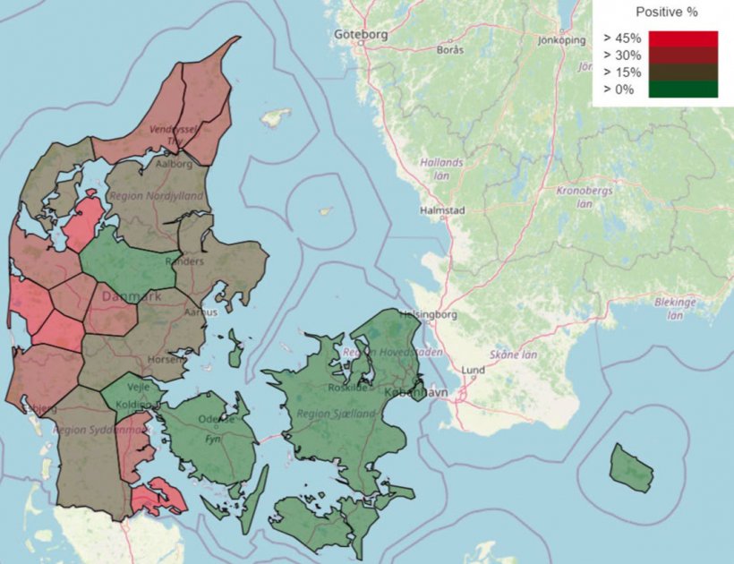 Abbildung 1: Prävalenz (%) der dänischen Schweinebetriebe mit positivem PRRS-Status nach Region, Januar 2025