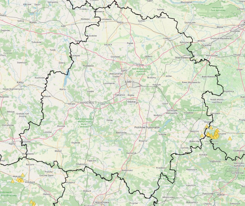 Erster ASP-Fall bei einem Wildschwein in der Woiwodschaft Lodz. Quelle: Oberste Veterinärbehörde Polens