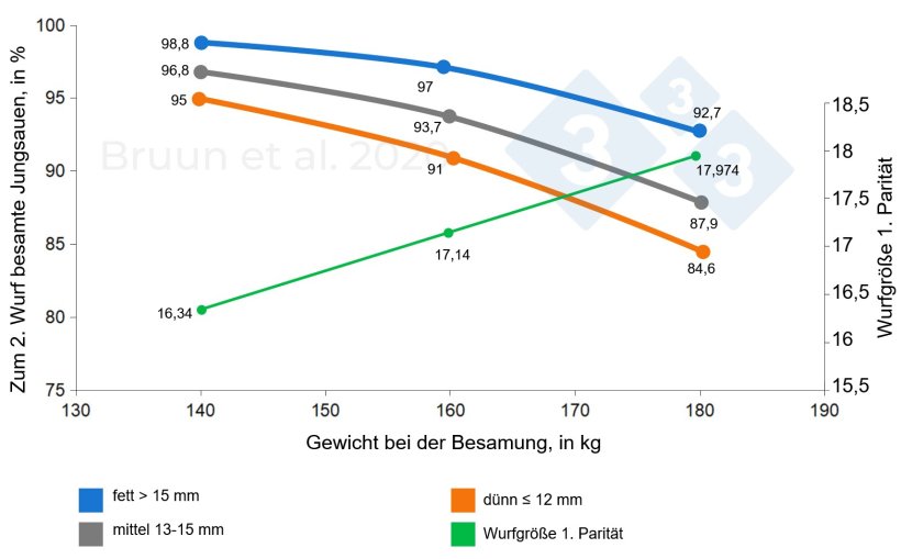 Zusammenhang zwischen Gewicht und Rückenspeckdicke von Jungsauen bei der Erstbelegung und ihrer späteren produktiven Lebensdauer. Bruun et al. (2020): Versuchsbericht Nr. 1206, SEGES Innovation