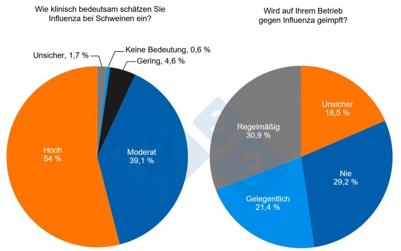 Abb. 1: Die wichtigsten Ergebnisse der Umfrage. Bewusstsein f&uuml;r die Auswirkungen der Influenza und Einsatz von Impfungen bei Schweinen.
