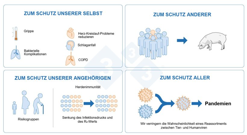 Abb. 4: Warum sollten wir uns gegen Influenza impfen lassen?
