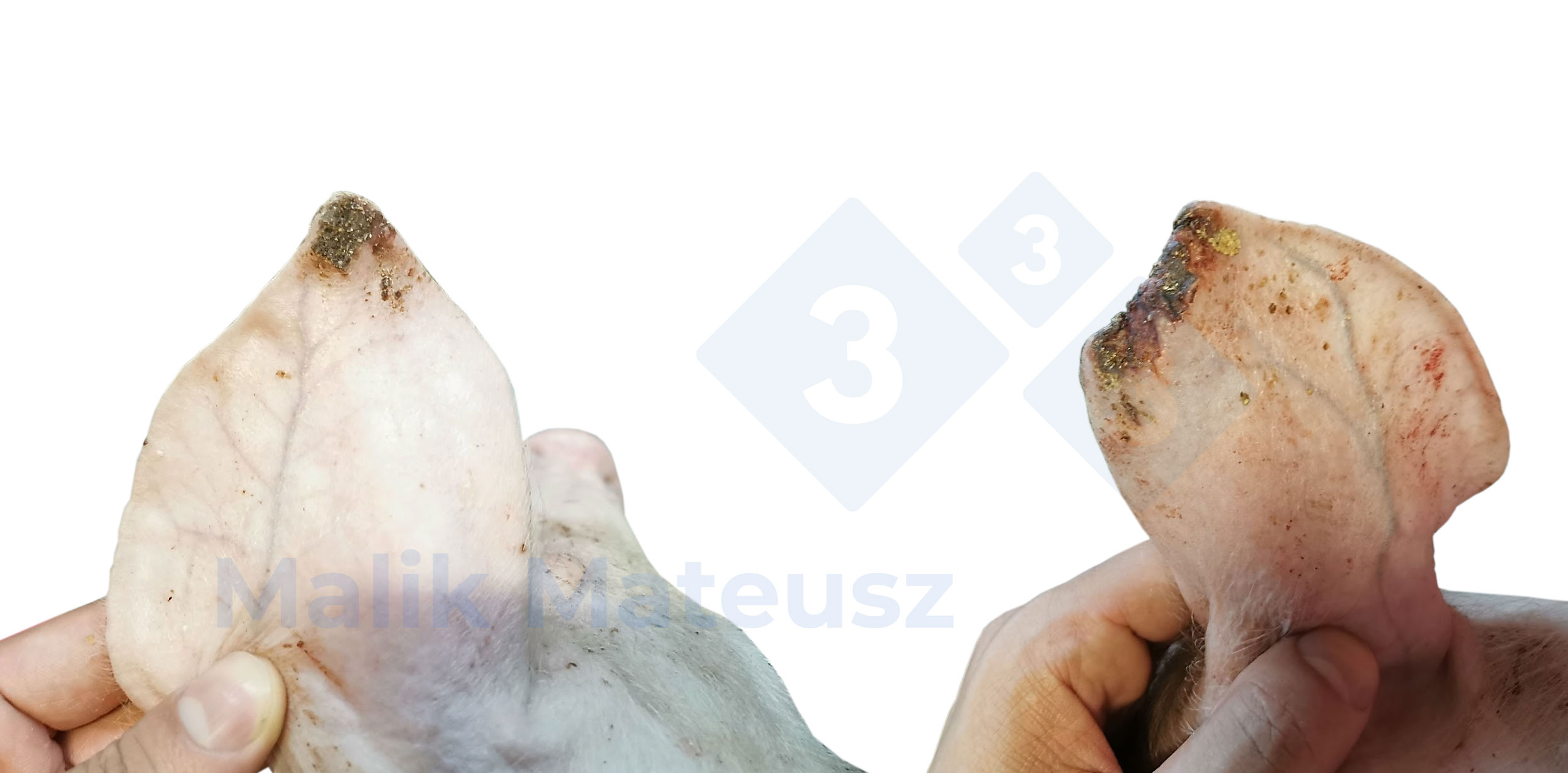 <p><span>Leichte und mittelschwere L&auml;sionen</span></p>
