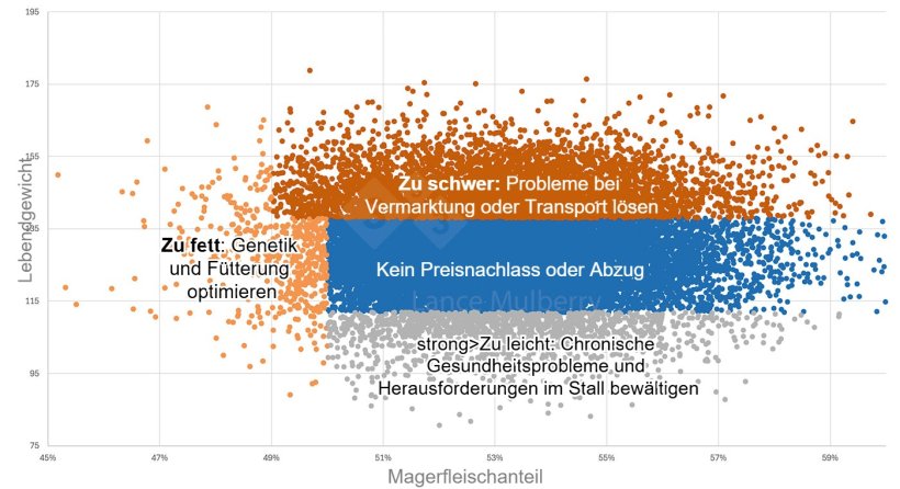 Abbildung 1: Die Kombination von Schlachtdaten mit anderen Daten, z. B. zur Fütterung, zum Gesundheitszustand oder zum Zuchtbetrieb, kann dabei helfen, Ursachen für Schwankungen zu ermitteln und die erforderlichen Maßnahmen zu deren Behebung zu ergreifen.