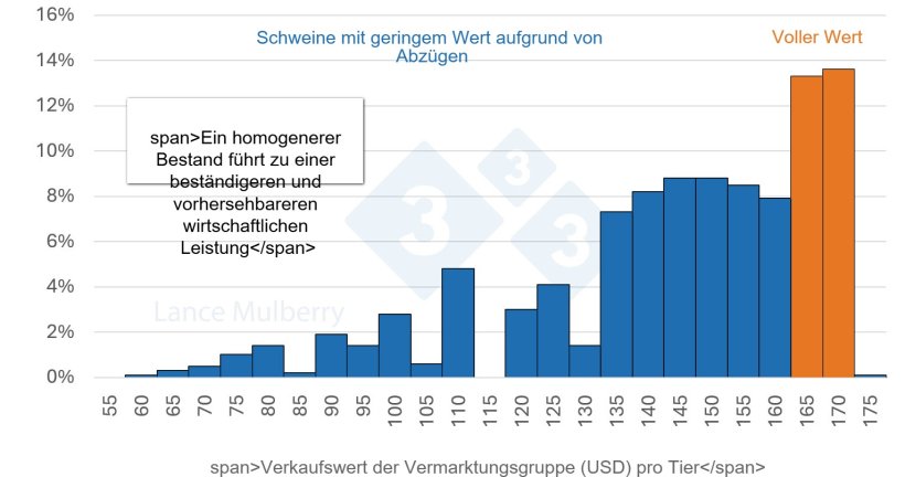 Abbildung 4: Die Verringerung der Anzahl langsam wachsender Schweine reduziert nicht nur potenzielle Einbußen, sondern senkt auch die Kosten durch eine kürzere Belegungsdauer der Stallplätze, weniger Arbeitsstunden pro Schwein und eine effizientere Futterverwertung.
