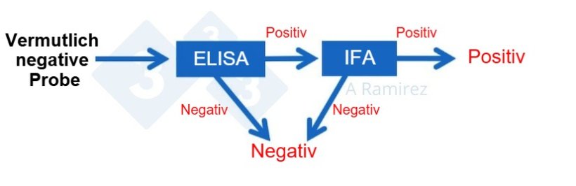 Abbildung 2. Diagramm zum Einsatz des ASF-IFA als Bestätigungstest für Proben, die unerwartet positiv im ASF-ELISA getestet wurden. Eine als negativ eingestufte Probe, die im ELISA negativ getestet wird, gilt als negativ. Wird diese Probe jedoch unerwartet positiv getestet, kann ein ASF-IFA als Bestätigungstest durchgeführt werden. Fällt der IFA-Test positiv aus, wird bestätigt, dass die Probe positiv ist. Fällt der IFA-Test negativ aus, wird von einem falsch positiven Ergebnis ausgegangen, sofern auch der PCR-Test negativ ist, um eine kürzlich erfolgte Infektion auszuschließen.