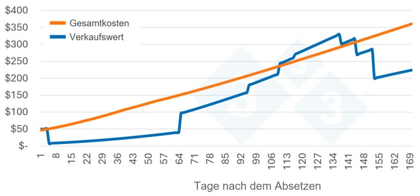Abb. 1: Einbeziehung der Wertkurve des Schweins
