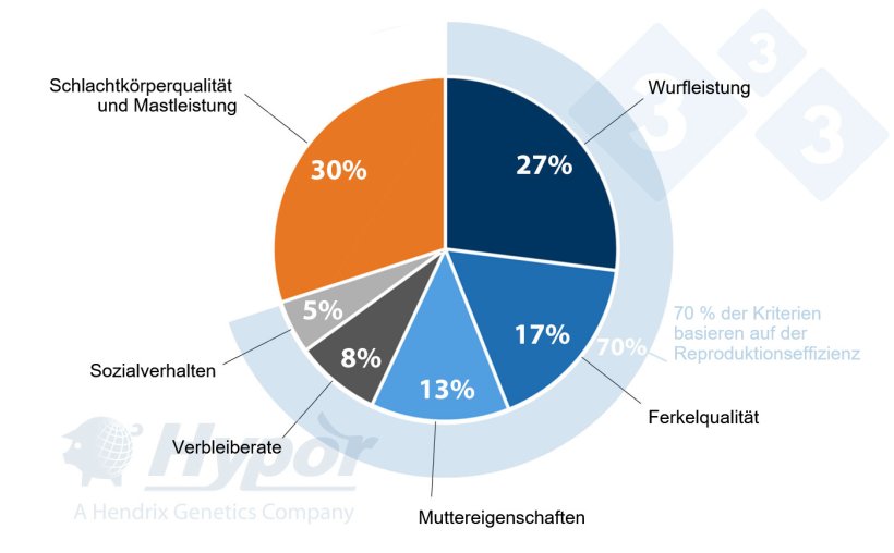 Selektionskriterien für die Linien Hypor Landrasse und Hypor Large White