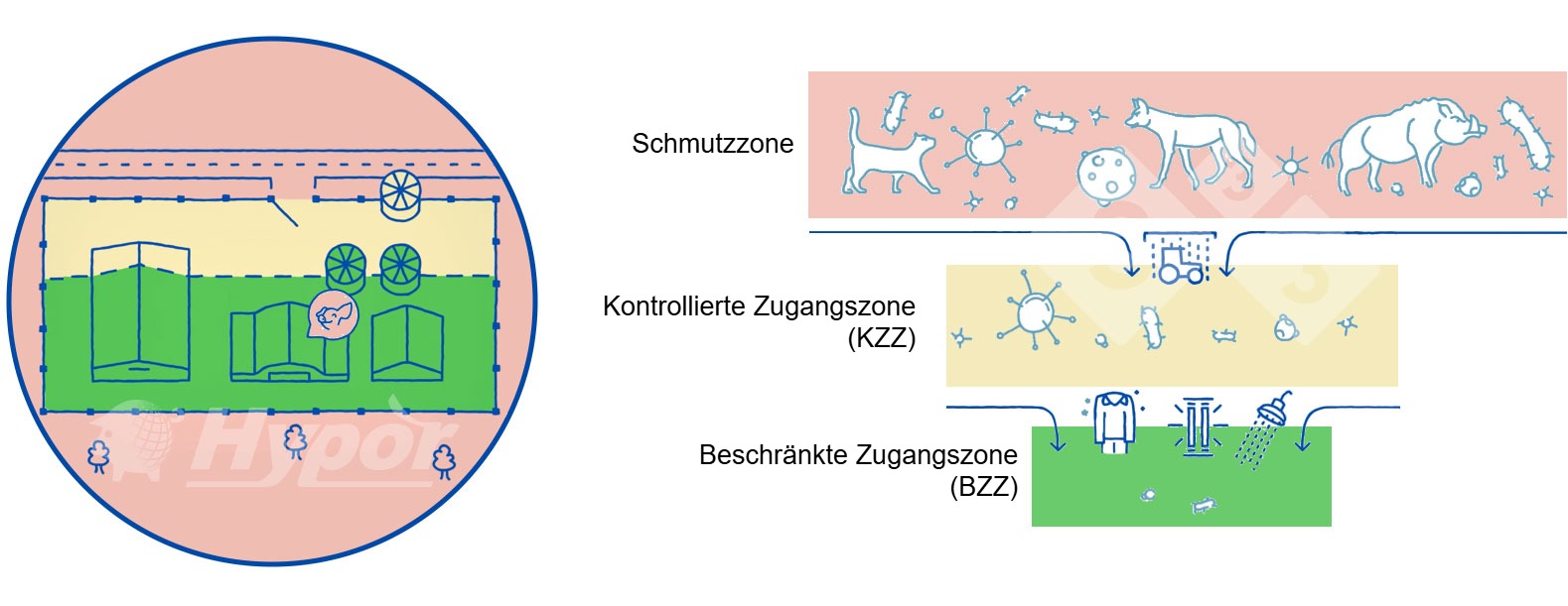 <p><span><span><span>Verschiedene Hygienezonen in einem Schweinebetrieb</span></span></span></p>
